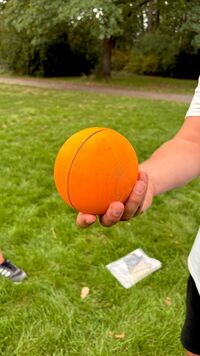 Eierprojekt 7&hellip;