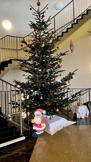 Weihnachtsbaum 2 2025 (© M. von Scheven) Weihnachtsbaum 2 2025